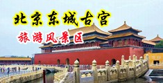 强奸白丝淫水射入中国北京-东城古宫旅游风景区